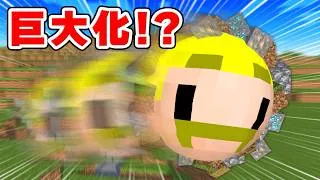 【制御不能】ブロックを巻き込み巨大化する世界でエンドラ討伐【マイクラ】