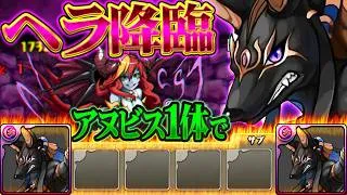 【地獄】進化前アヌビスでヘラ降臨をクリアする。【パズドラ】