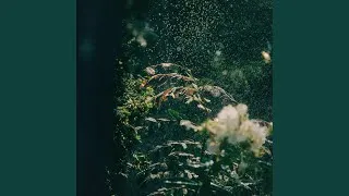 Unmei Sagashi