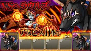 LF進化前アヌビス1体でヘラ・ウルズ降臨を完全攻略する配信。【パズドラ】
