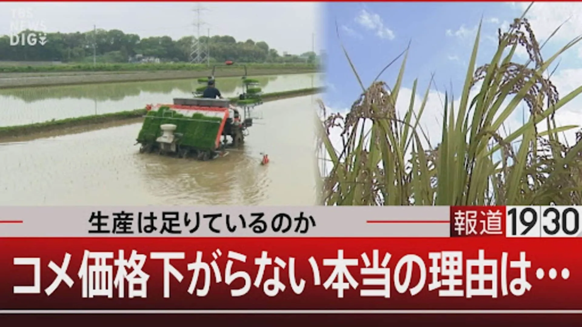 “コメの高止まりは流通の問題”はウソ　主食用のコメは40万トン減っている【報道1930】