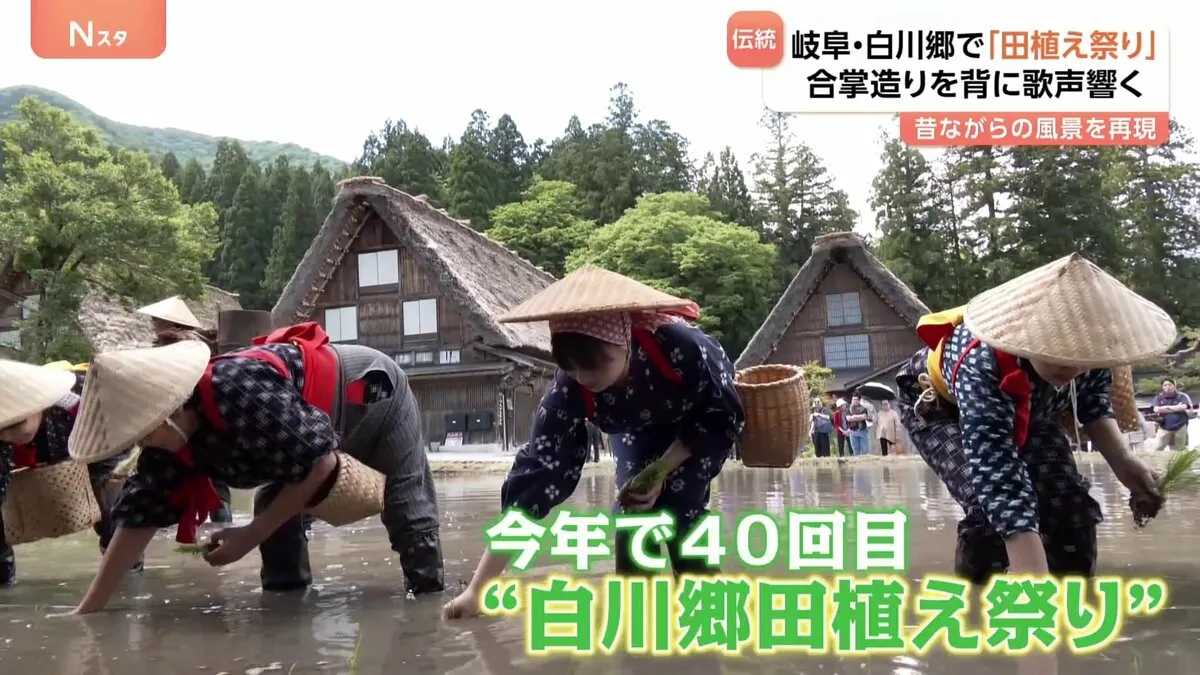 岐阜の白川郷で「田植え祭り」　農村風景を残そうと今年で40回目