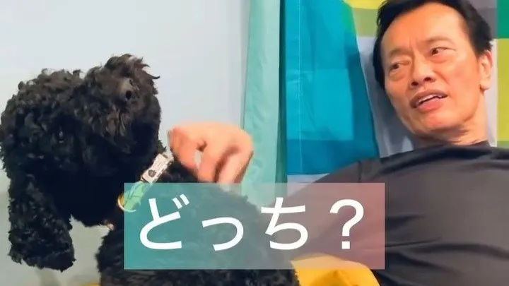 【いぬ】遠藤憲一さん　愛犬「クロミちゃん」の胸元なでて “嬉しい？イヤ？どっち？” 　愛して欲しい思いにフォロワー応援「気持ちいいからされるがまま」