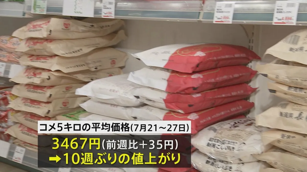 コメ平均価格 10週ぶり値上がり 5キロ3467円 前週より35円上昇