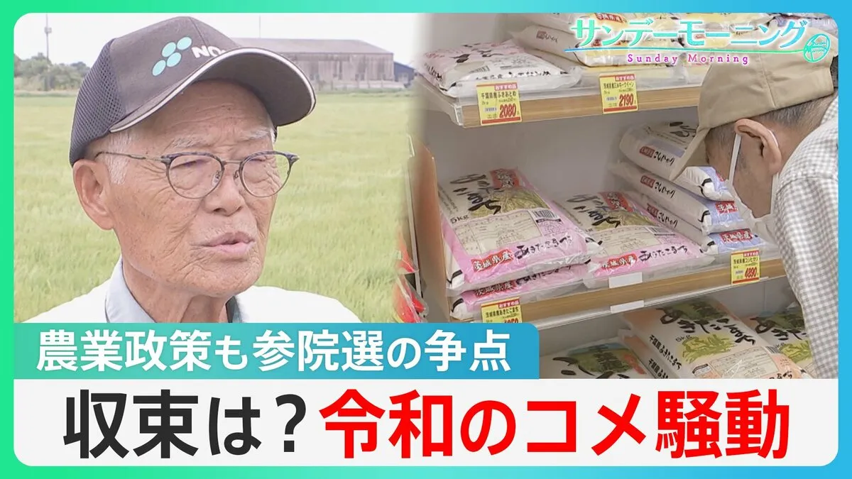 続く“令和のコメ騒動”…参議院選挙は農業政策も争点に　与野党は増産の方針、農家からは不安の声【サンデーモーニング】