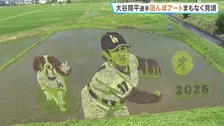 大谷翔平選手が投げる姿と愛犬デコピンが浮かびあがる　田んぼアートまもなく見ごろ　岩手・奥州市