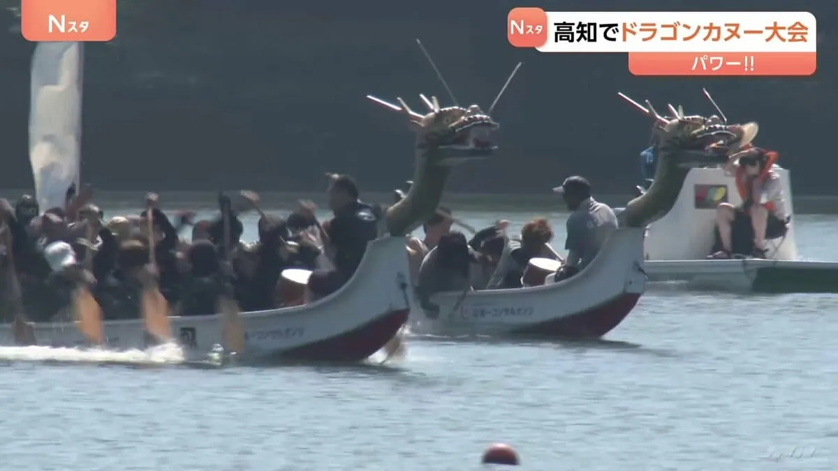 700人が夏の海をカヌーで駆け抜ける「ぶっちぎり1位で最高！」高知・須崎市でドラゴンカヌー大会