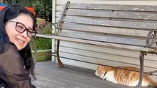 独立公表【 藤あや子 】神宮で〝かわい子ちゃん猫〟〝おみくじ大吉〟「晴れやかな第二章のスタート」青空の下で期待を込める