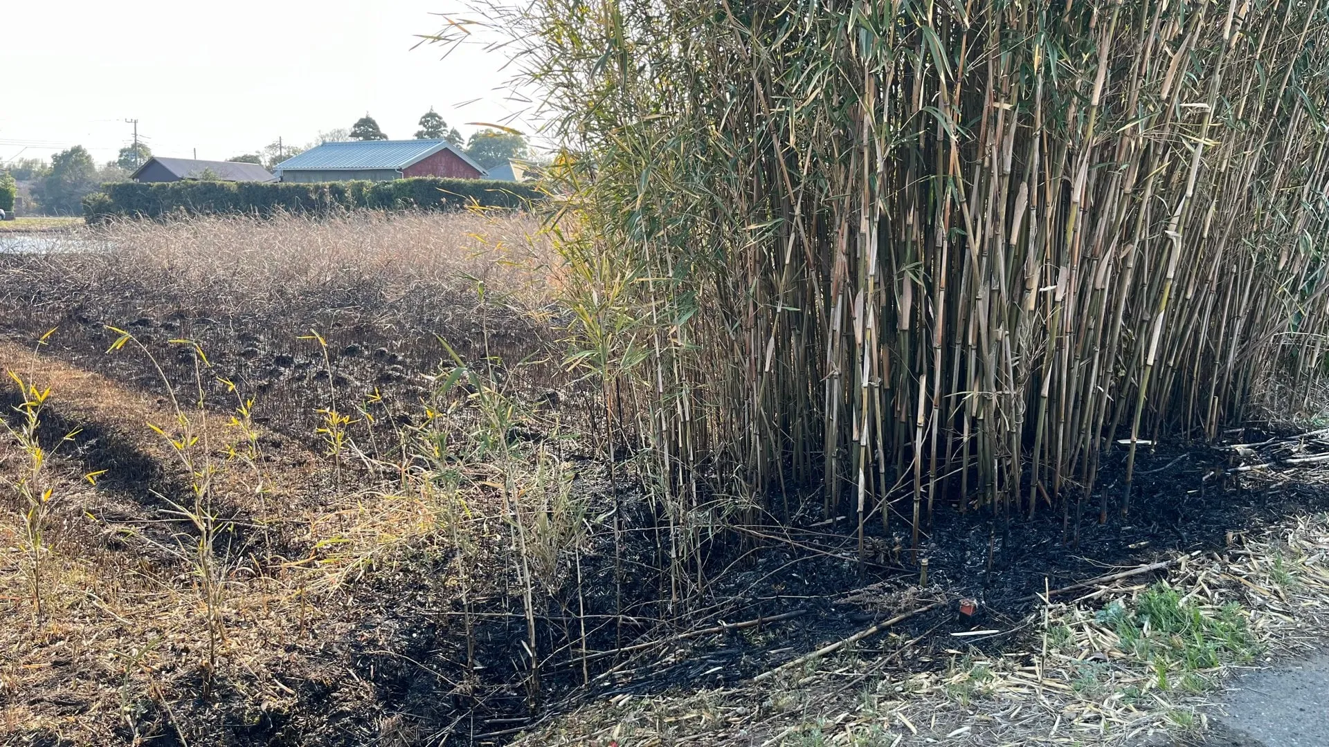 空き地で枯れ草火災　焼け跡から1人の遺体を発見　千葉・長生村