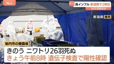 新潟で鳥インフル発生 28万羽の処分を進める　県内今季2例目　胎内市