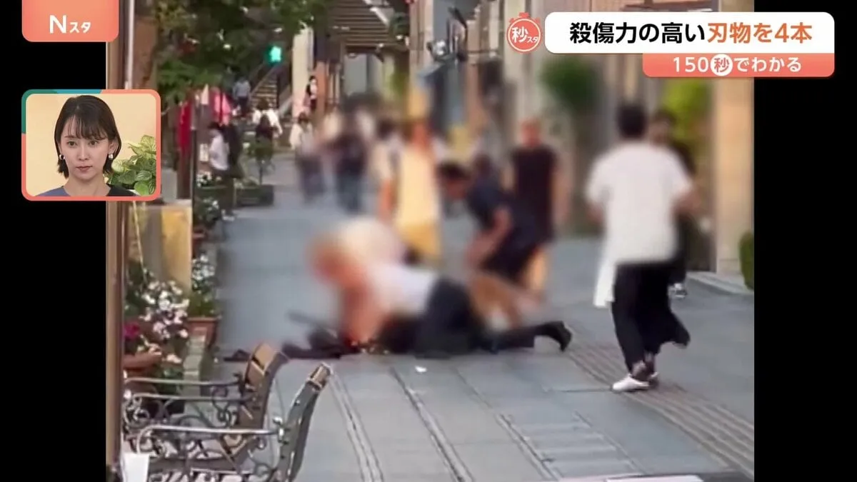 「私を止めに来た人を切りつけた」殺傷力の高い刃物4本所持 水戸6人重軽傷事件【Nスタ解説】
