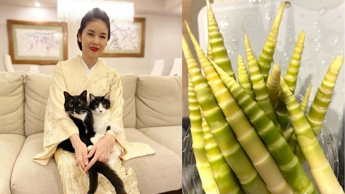 【藤あや子】「故郷のたけのこ」 “父と母を思い出しながら” 　炒め煮にして「マルオレ食堂」