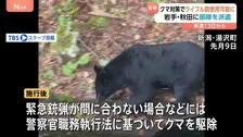 警察官によるライフル銃での“クマ駆除”可能に　国家公安委員会規則を改正　来週13日に施行