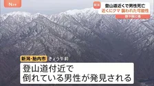 クマに襲われた可能性も…登山道近くで男性死亡　行方不明の山の会のメンバー　顔や腕にひっかき傷　ヘリが近くでクマ発見　新潟・胎内市
