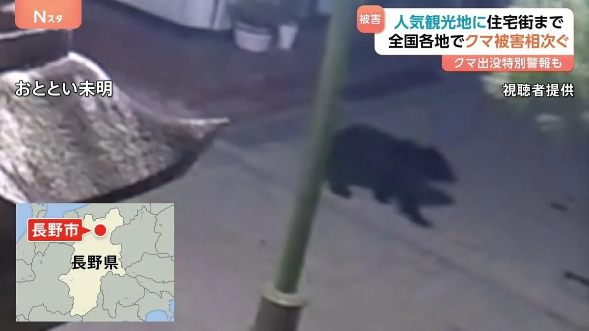 人気観光地や住宅街などでクマの出没相次ぐ 「ここに出るのは考えられない」玄関を開けたら木からクマ…男性が襲われ顔などにけが 新潟では“クマ出没特別警報”