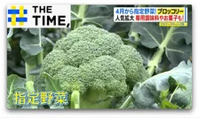 紫色だと“ラッキー”！？「ブロッコリー」の正しくおいしい食べ方とは？【THE TIME,】 