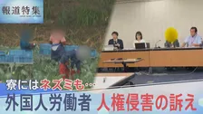 寮にはネズミも…劣悪環境で働く外国人労働者　暴行・人権侵害の訴え相次ぐ【報道特集】