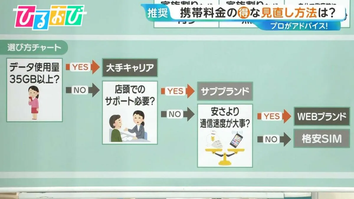 大手3社携帯料金“値上げ”へ「あなたは何ギガ使ってる？」料金プランの見直し方法をプロが解説【ひるおび】