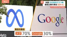 「極めて重要な意味を持つ評決」SNS依存でうつ病に… メタ、グーグルの責任認める　専門家「今のままでは存続難しくなる可能性」