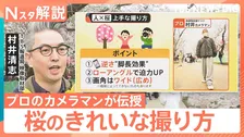 桜をスマホで上手に撮りたい！「曇ると色が…」「良い角度は？」プロが伝授 悩みを解決【Nスタ解説】