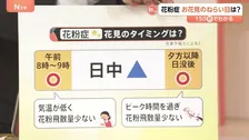 桜が満開になる頃、スギ花粉はピークアウト？花粉症の人におすすめの“花見タイミング”とは【Nスタ解説】