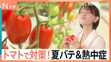 熱中症対策は「トマトに塩」農家直伝！ 夏バテ＆熱中症対策でトマトに注目　建設現場では差し入れにも【Nスタ】