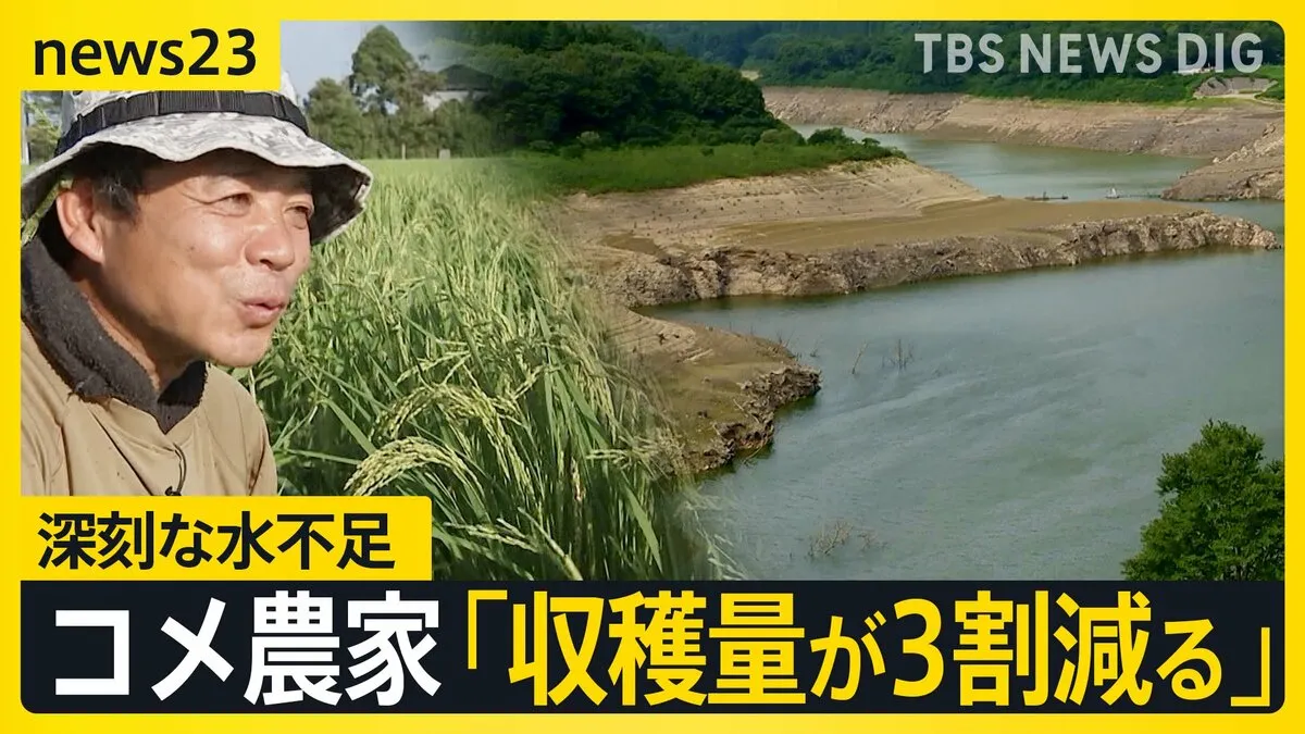 「全滅も覚悟した」鳴子ダムの貯水率0％にコメ農家から悲鳴　都市部でも猛暑　エアコンなしの職場の対策は【news23】