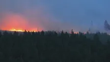 ベルギー東部で過去最大規模の山火事