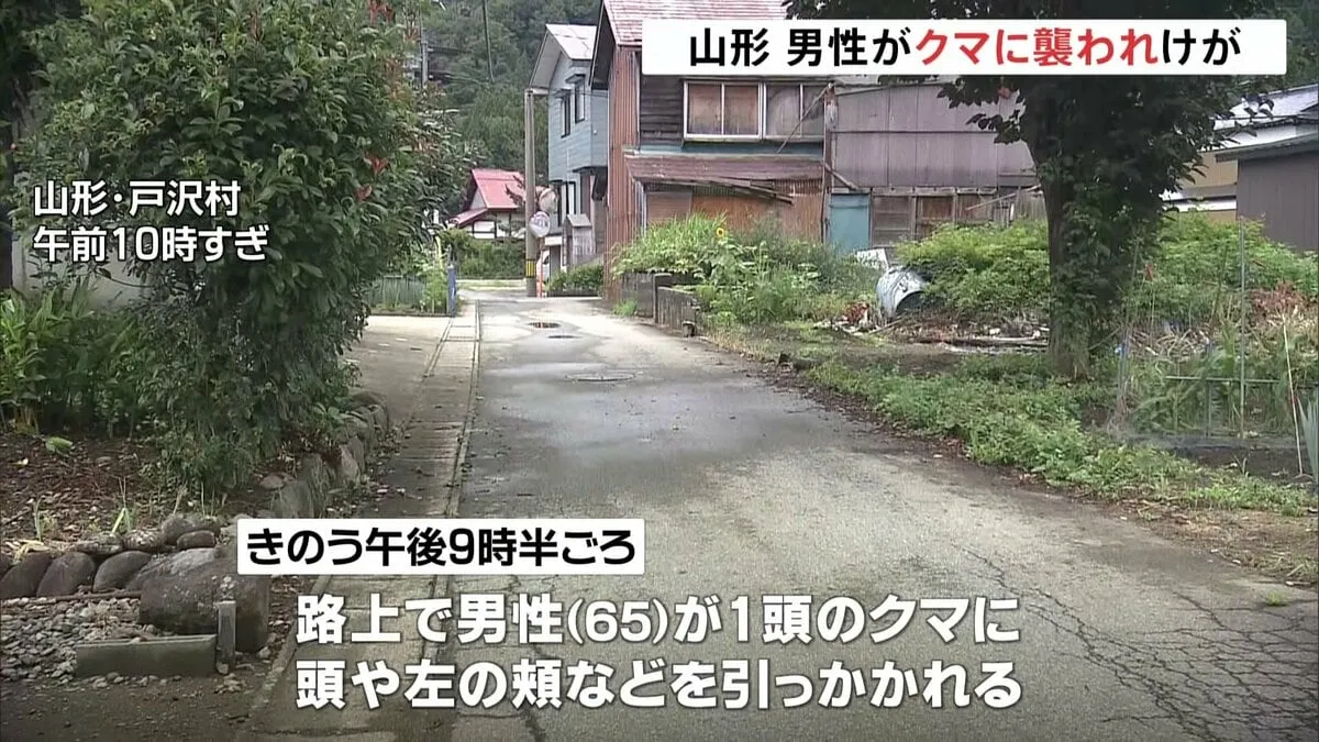 住宅街でクマに遭遇 頭や頬など引っかかれる　襲われた65歳男性「後ろに押し倒された」 山形・戸沢村