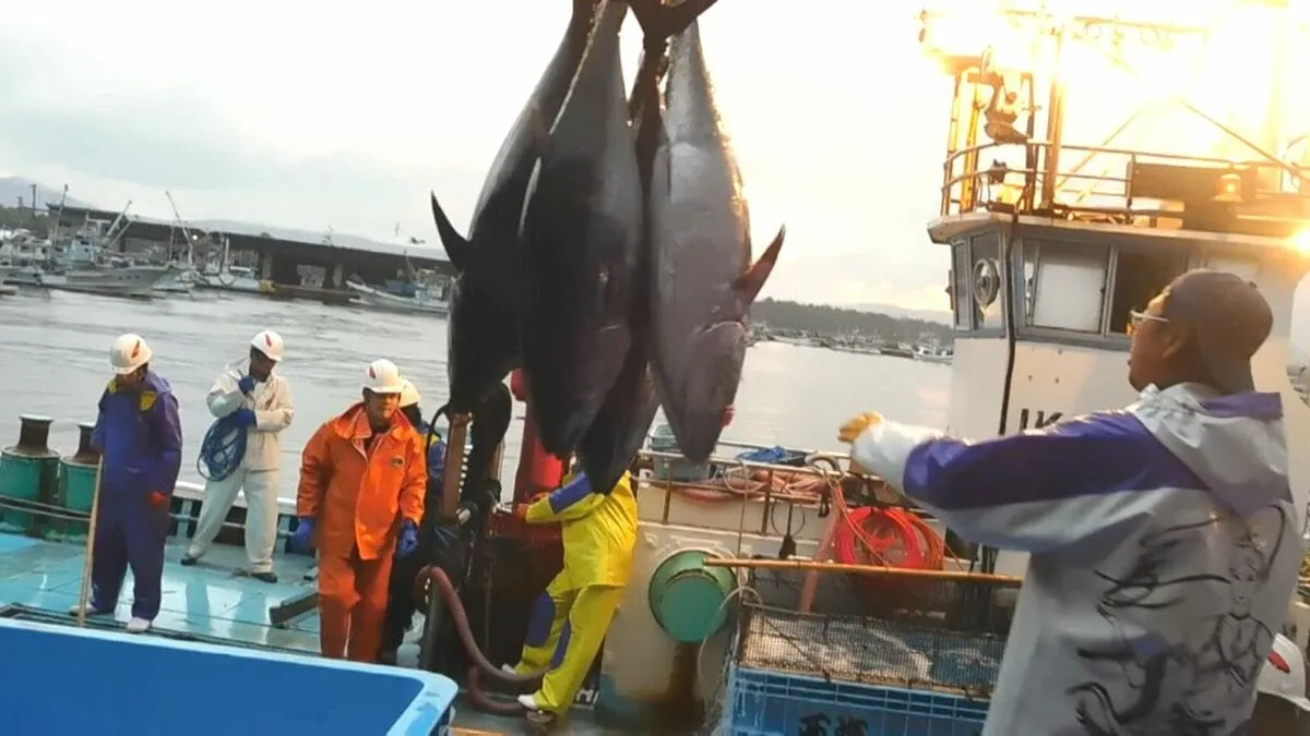 「マグロの王様」クロマグロの資源管理をめぐる国際会議が富山で始まる 将来の資源量の目標設定など話し合い