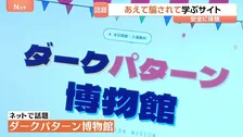 「時間制限が出て急がなきゃ」ネット通販で知らぬ間に誘導「ダークパターン」規制強化へ　被害額3兆円か
