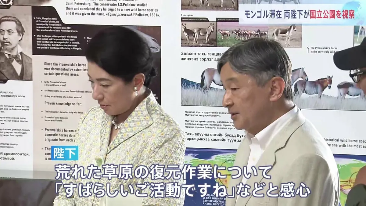 モンゴルを公式訪問中の天皇皇后両陛下　最古の野生馬「タヒ」の生態や保全活動などについて説明を受けられる