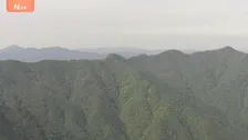 【速報】東京と埼玉にまたがる仙元峠付近で上半身のない遺体　クマに襲われた可能性　周辺には大型動物の足跡　警視庁が身元確認を進める