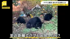 深刻化する“クマ害”「国民の命守れない」秋田県が自衛隊派遣を要請 もしクマと至近距離で出会ったら?被害を軽減する“ある姿勢”とは【news23】