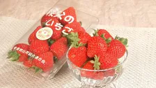 いちごの覇権争い…次に来るのは埼玉の「あまりん」？いちご選手権3連覇の実力「酸っぱみと甘みのバランスが美味しい」