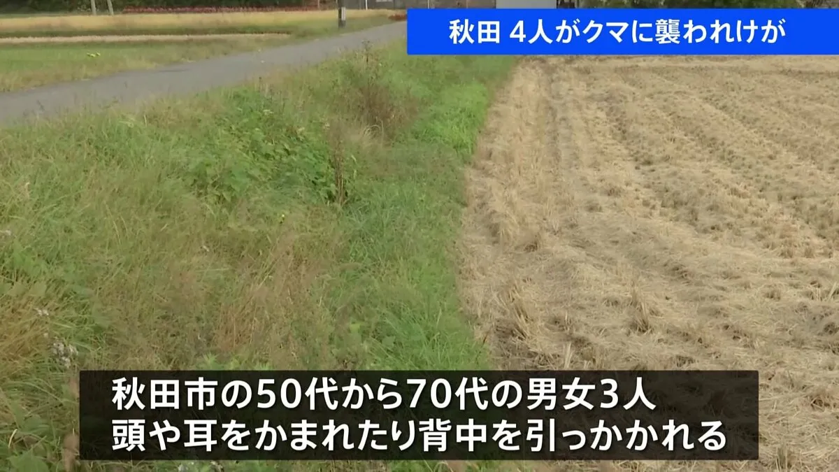 秋田でもクマ被害 あわせて4人が襲われけが 湯沢市では男性4人襲い民家に居座っていたクマが発生から5日たったきのう捕獲
