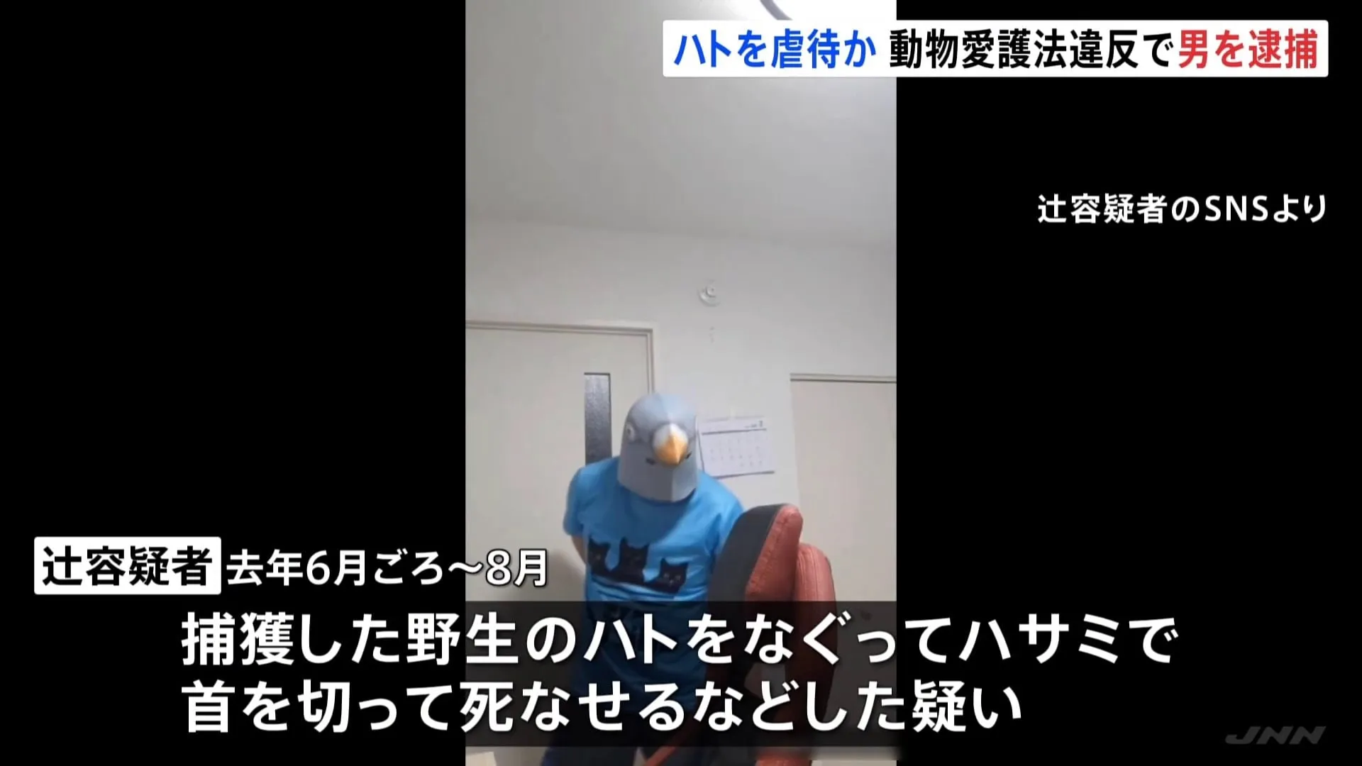 「愛情の裏返しで粛清した」捕獲したハトを死なせたか 鳥のマスクかぶり首をハサミで…動物愛護法違反でタクシー運転手の男（49）を逮捕 警視庁