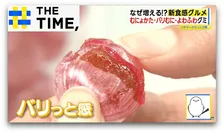 バリむに・プチもち・じゅんわり「新食感グルメ」なぜ増える？【THE TIME,】 