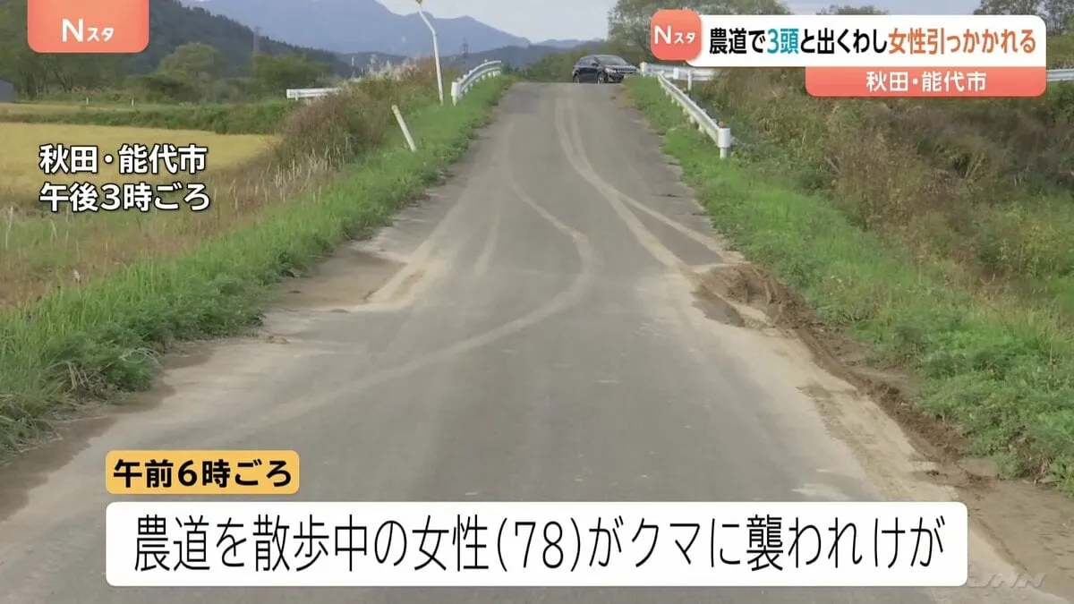 きょう（19日）も各地でクマ出没相次ぐ　秋田・能代市　農道で3頭と出くわし78歳女性背中引っかかれる　岩手・北上市　61歳男性　2頭と出くわす左足かまれ軽傷