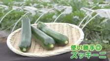 今が旬のズッキーニ！「安さ」「手軽さ」からいまや“国民食”にも？ プロが教える“美味しく食べるレシピ”とは