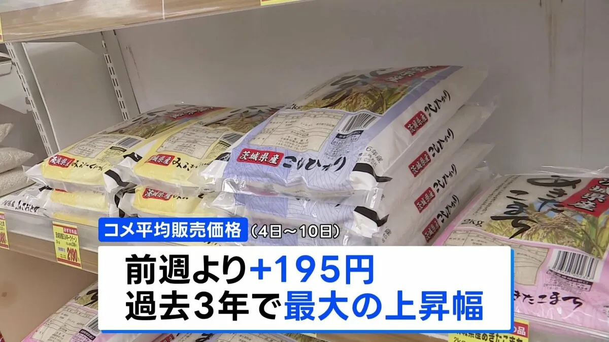 コメ平均価格5キロ3737円 先週に比べ195円値上がり 過去3年で最大の上げ幅
