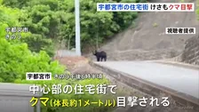 けさも…「目を疑った」宇都宮市の住宅街で目撃相次ぐ　警察には約20件の通報　6日夕方には体長1mほどのクマ目撃…警察や猟友会などが警戒続ける