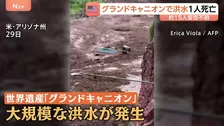 世界遺産「グランドキャニオン」で大規模洪水　男性1人死亡　約15人連絡取れず