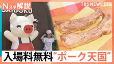 豚のテーマパーク「サイボク」は入場料無料でGW中大賑わい！　群馬には無料スポットが多数…なぜ？【Nスタ解説】