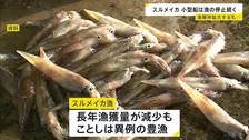 「スルメイカ」 漁獲枠拡大でも漁獲量が枠超え　小型船は漁の停止命令続く