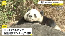 上野動物園の双子パンダが今月27日に中国へ　「シャオシャオ」と「レイレイ」　四川省の「保護研究センター」で検疫後は未定