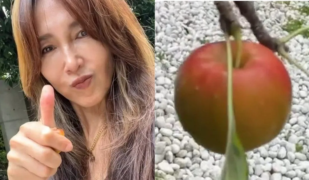 【 工藤静香 】　庭の「りんご」を堪能　「あま～い！」「おいしい！」と笑顔