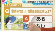 「“晴雨”兼用傘」と「“雨晴”兼用傘」違いはあるの？梅雨の時期の傘の選び方【ひるおび】
