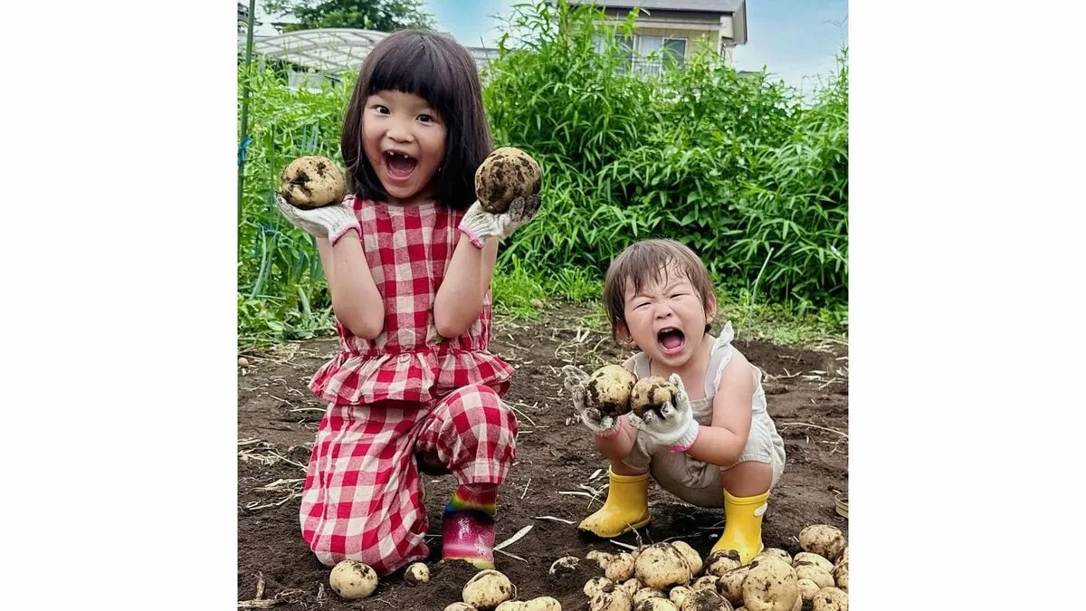 【ののちゃん】　「とったぞー！！！」7歳と2歳の姉弟が大量じゃがいも収穫の喜びを公開
