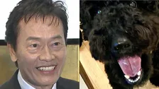 【 いぬ 】遠藤憲一さんの愛犬クロミ「観察してると楽しい」　ソファ占領＆クッション破壊にフォロワー「うちもかじります」